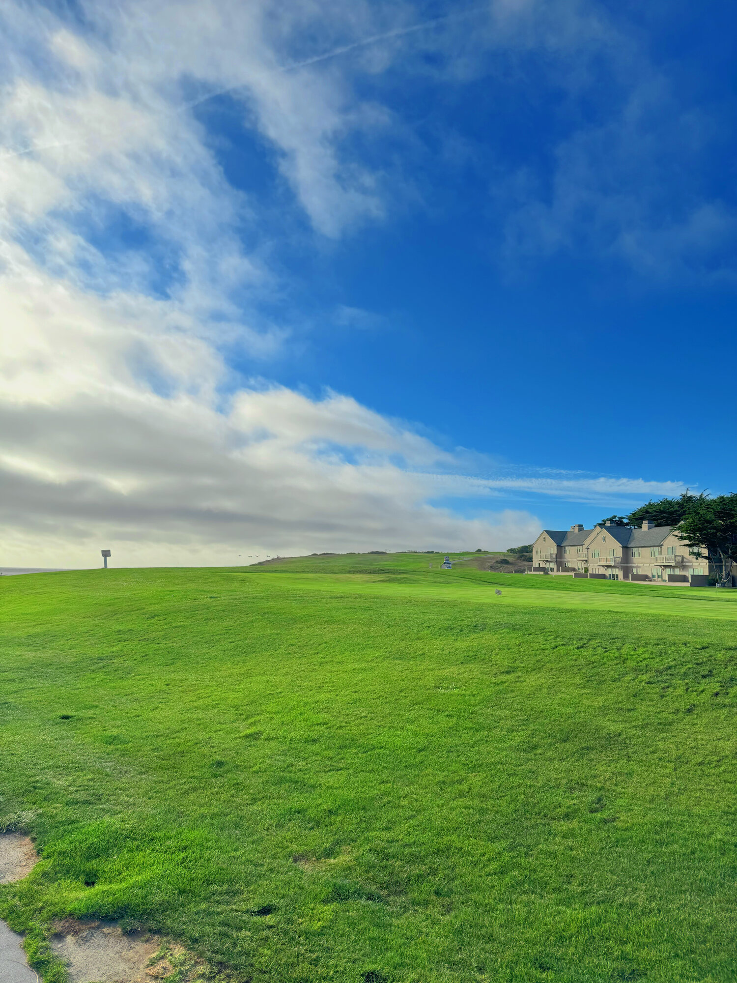 Green coastal meadow under a wide blue sky